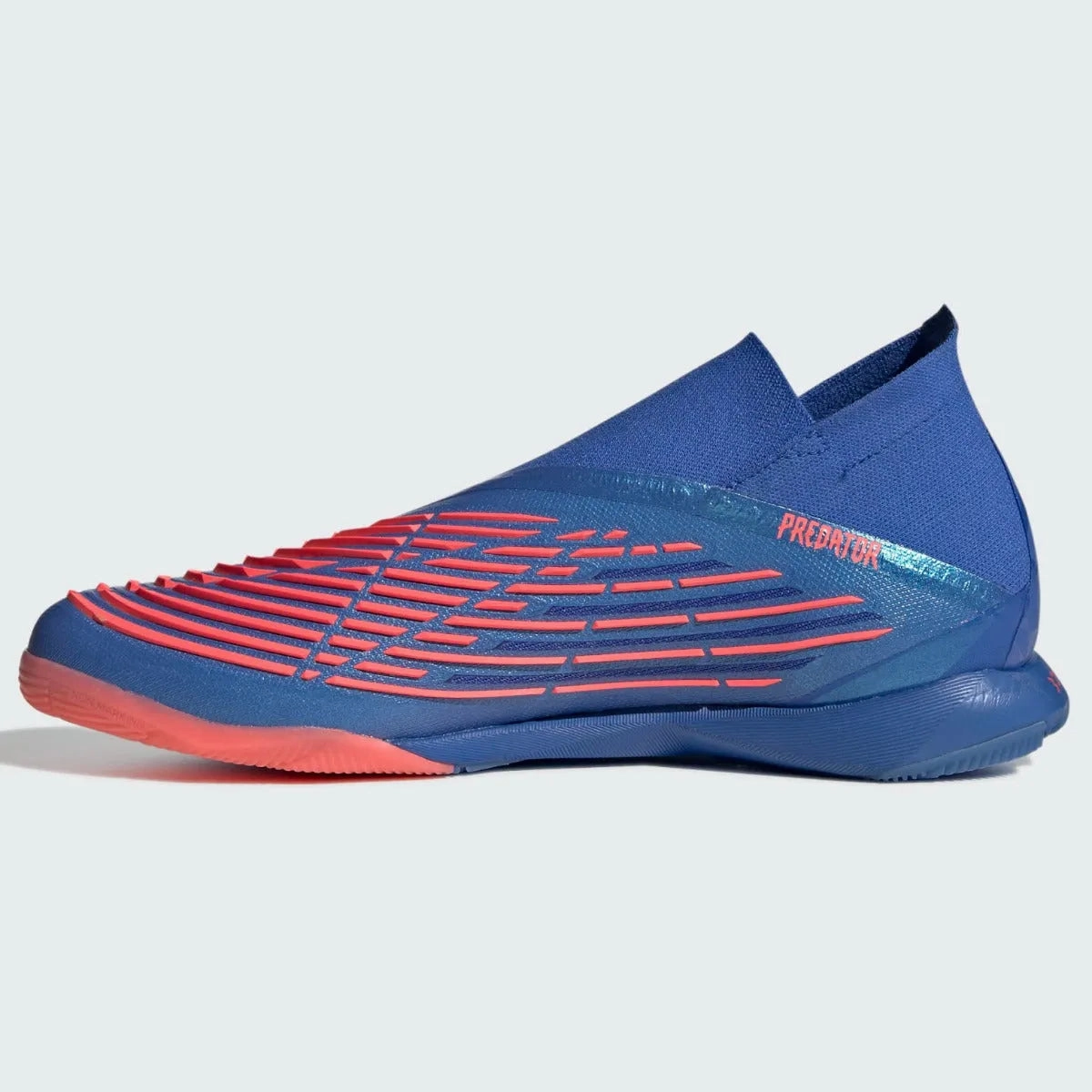 Basketball Shoes Adidas D Rose adidas Predator Edge .1  IN - Hi Res Blue-Turbo