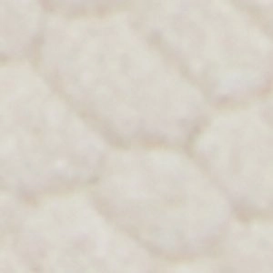 Types Of Flats Shoes Cassiane