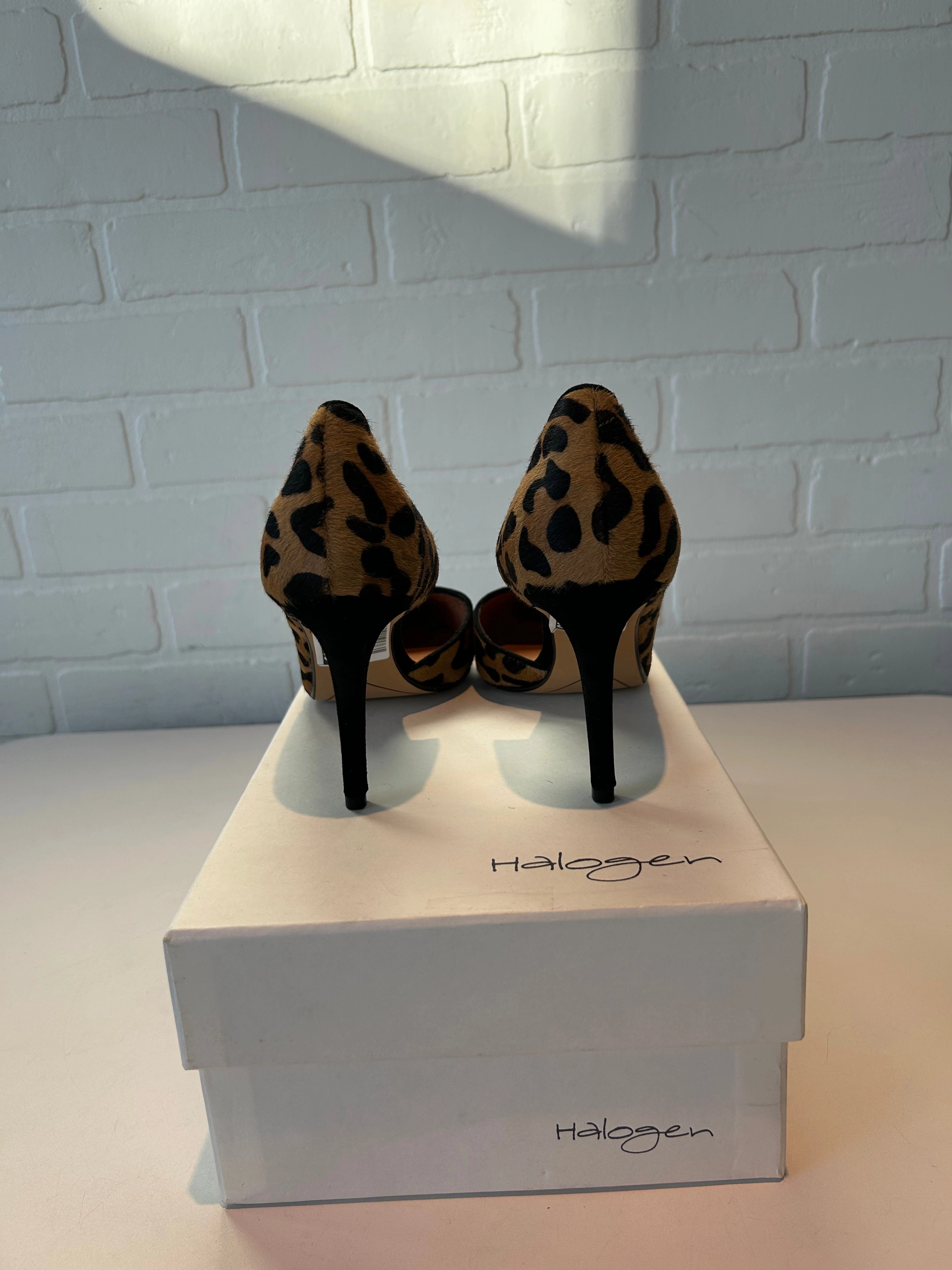 Flower High Heels Shoes Heels Stiletto By Halogen In Animal Print, Size: 8.5