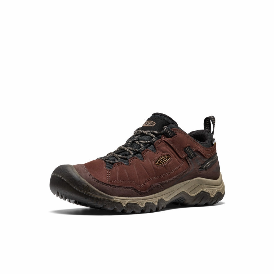 Asolo Fsn 95 Gore Tex Hiking Boots Men's Targhee IV Waterproof Hiking Shoe  |  Java/Bison