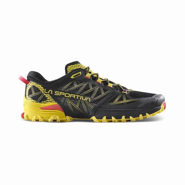 Unisex Bushido III Fuelcell Rebel V4 Running Shoes