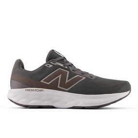 New Balance Outlet San Diego New Balance Fresh Foam 520 V9 Mens Running Shoes