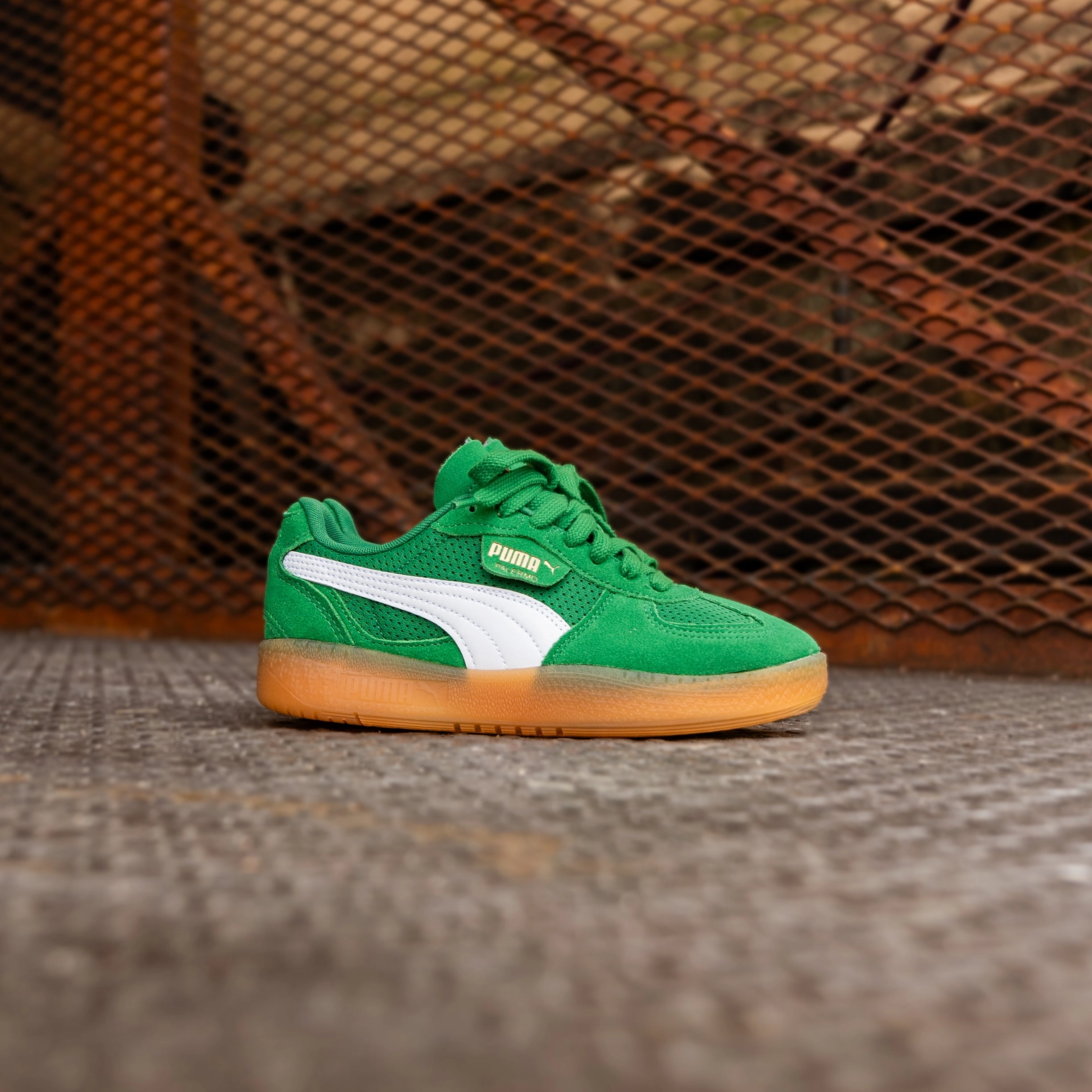 Climbing Shoes Velcro Or Lace Up Women's Puma Palermo Moda Vintage (Archive Green/Gum)
