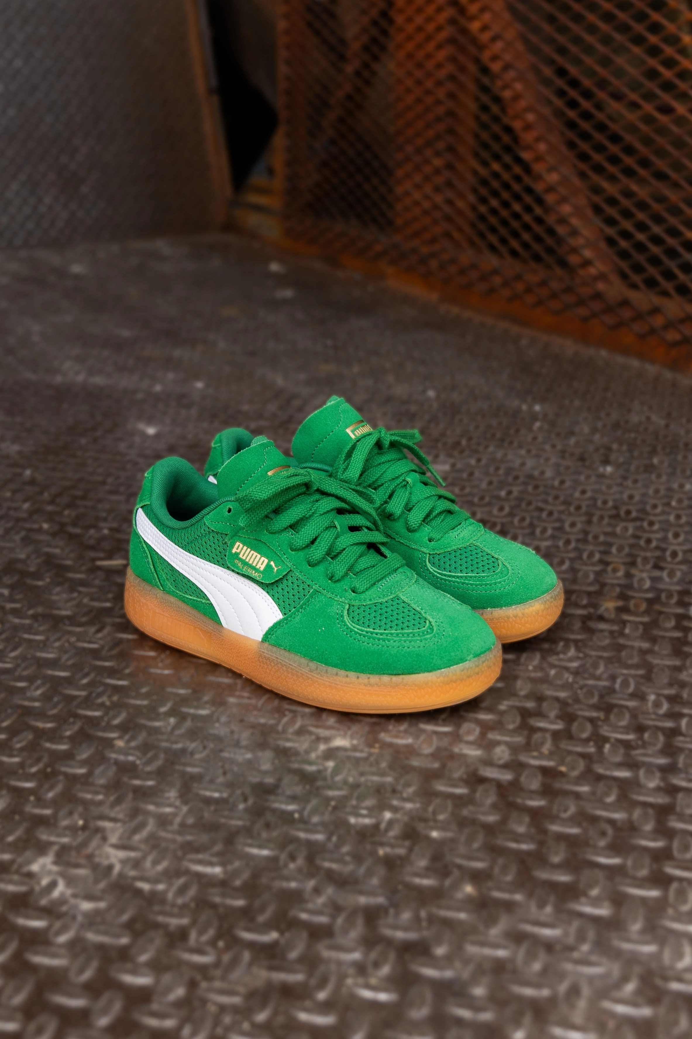 Climbing Shoes Socks Or No Socks Women's Puma Palermo Moda Vintage (Archive Green/Gum)