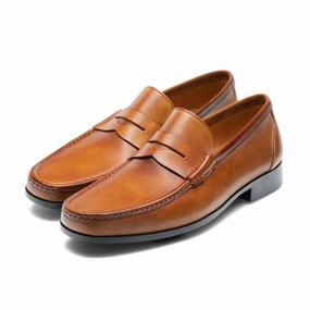 Magnanni Ares II Penny Loafer Japanese Loafers