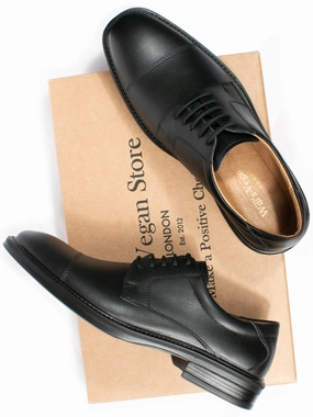 Scotchgard Waterproofing For Shoes Waterproof Derbys