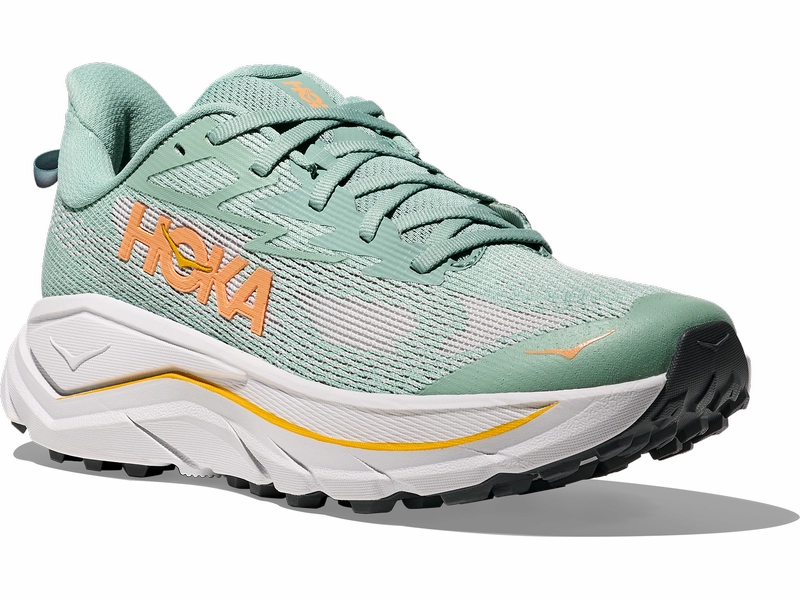 Women's Hoka Challenger 8 All Terrain Running Shoe