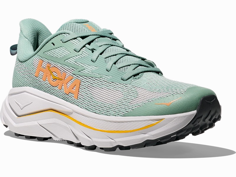 Women's Hoka Challenger 8 All Terrain Running Shoe